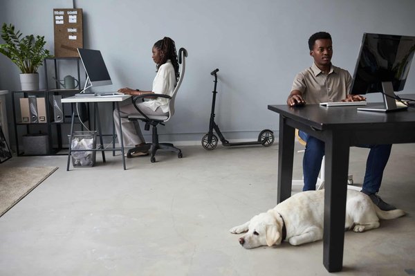 What Are the Best Tips for Designing a Pet-Friendly Yet Stylish Living Room?